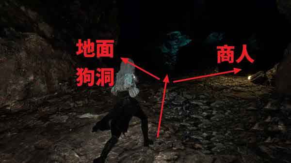 33号远征队繁叶结怎么得？繁叶结获取攻略