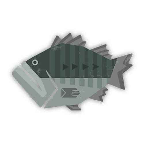 大珍鲈