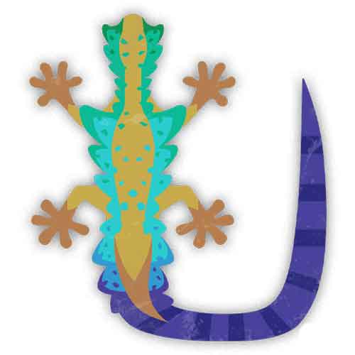 隐遁壁虎 隐遁壁虎