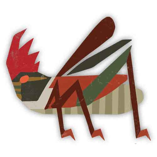 怪物猎人荒野怪物图鉴：暴君蚱蜢